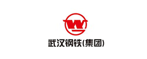 武汉钢铁集团