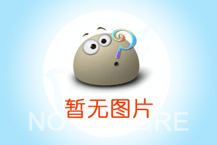 欧式固定电动葫芦：助力工业发展的起重神器